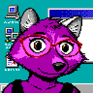 raccoon